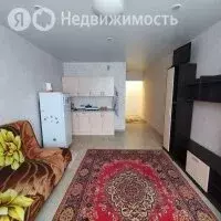 Квартира-студия: Новосибирск, улица Забалуева, 90 (30.7 м) - Фото 1