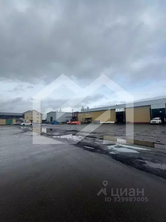 Помещение свободного назначения в Московская область, Одинцово ... - Фото 1