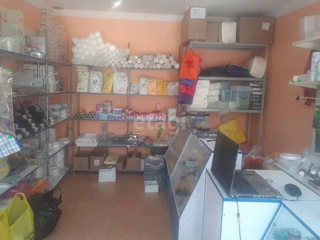 Помещение свободного назначения в Крым, Евпатория ул. ... - Фото 1