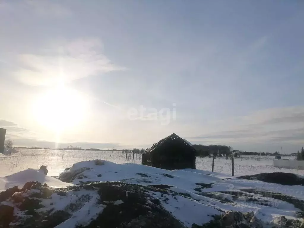 Участок в Свердловская область, Нижнесергинский район, Дружининское ... - Фото 1