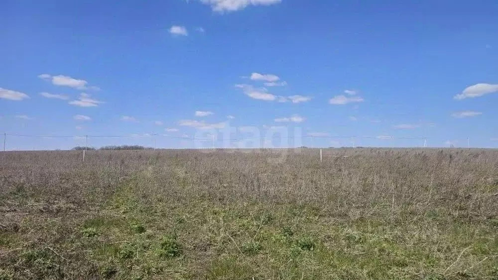 Участок в Воронежская область, Семилукский район, с. Девица ул. ... - Фото 1