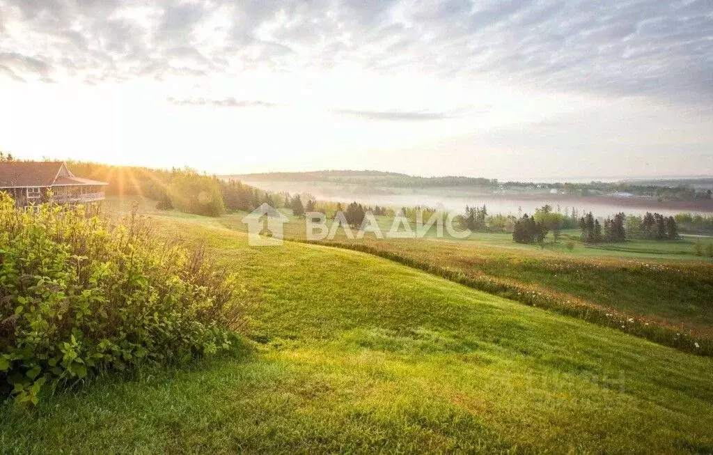 Участок в Нижегородская область, Богородский муниципальный округ, с. ... - Фото 1