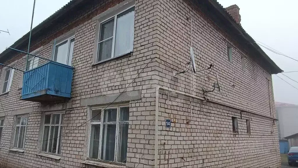 3-к кв. Смоленская область, Рудня ул. Пирогова, 14 (52.8 м) - Фото 2