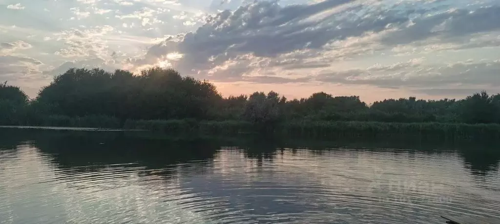 Дом в Ростовская область, Кагальницкий район, с. Иваново-Шамшево ул. ... - Фото 0