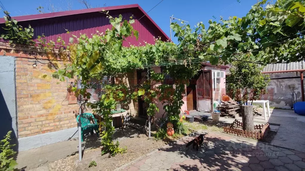 Дом в Краснодарский край, Ейск ул. Свердлова (49 м) - Фото 1