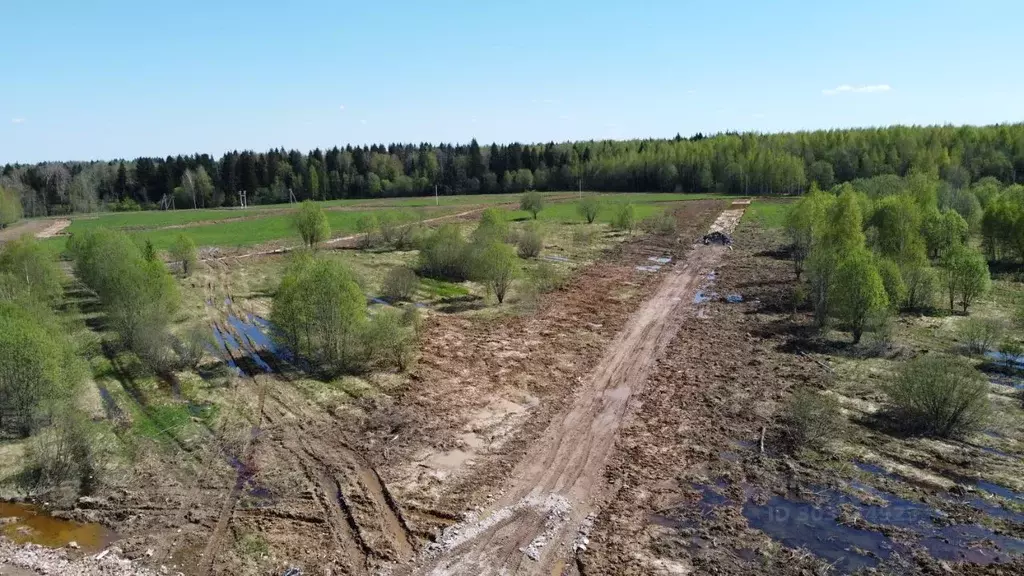 Участок в Московская область, Клин городской округ, Коськово кп 136 ... - Фото 0