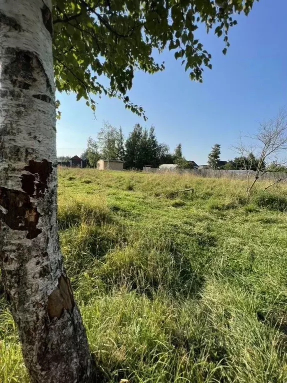 Участок в Ленинградская область, Сясьстрой Волховский район, Весенняя ... - Фото 1