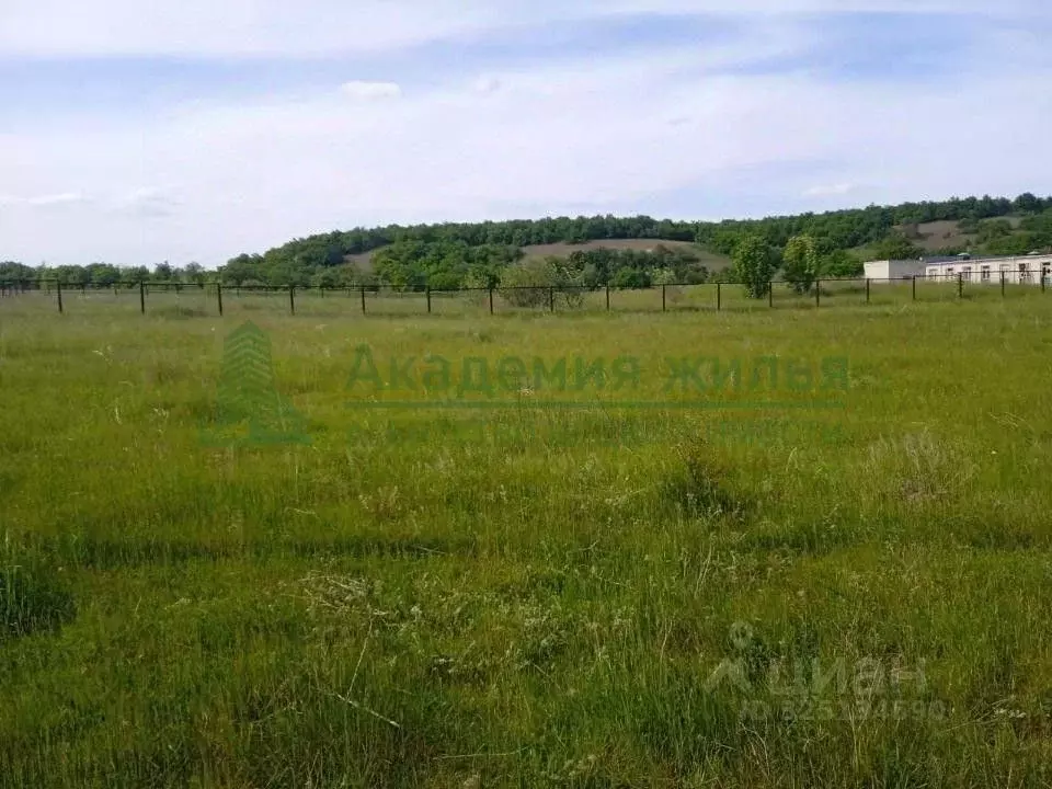 Участок в Саратовская область, Воскресенский район, Елшанское ... - Фото 1