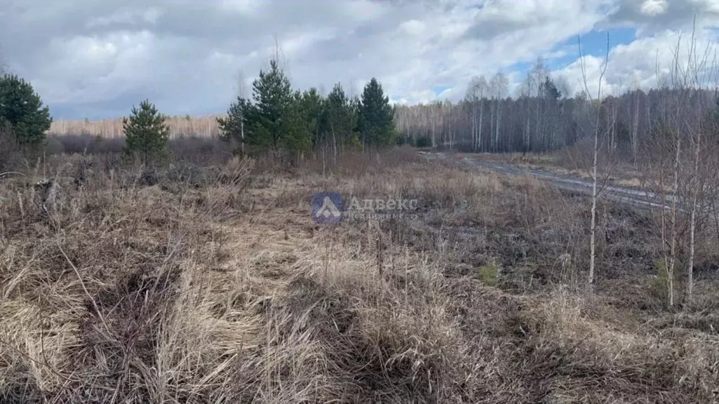 Участок в Тюменская область, Нижнетавдинский район, д. Штакульская  ... - Фото 1