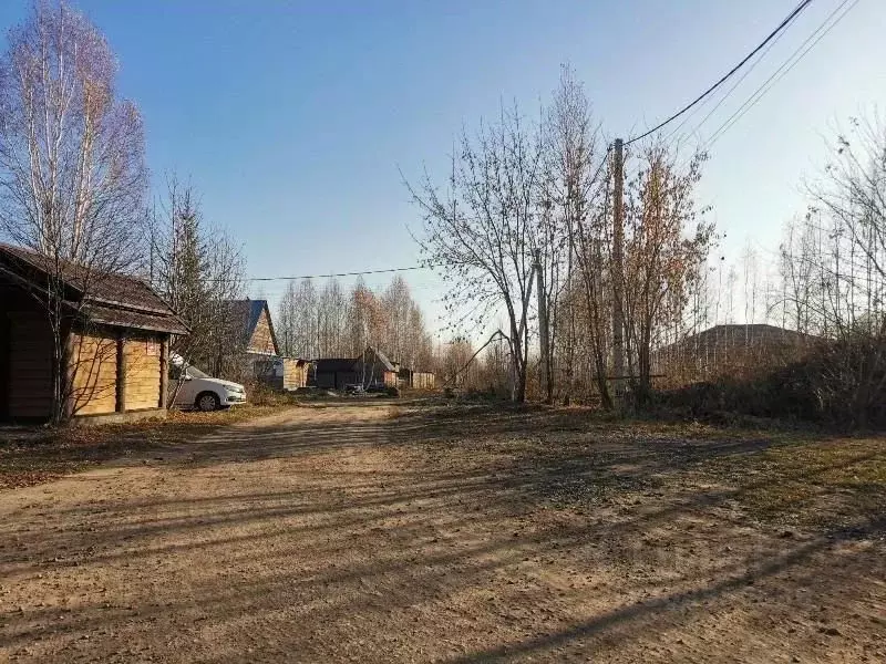 Участок в Новосибирская область, Новосибирский район, Станционный ... - Фото 1