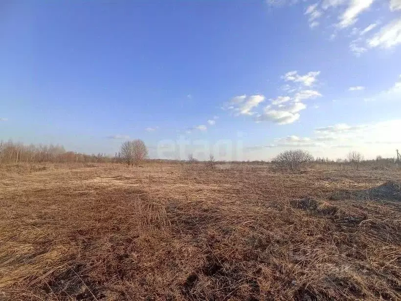 Участок в Костромская область, Красное-на-Волге пгт, пос. Птицефабрика ... - Фото 1