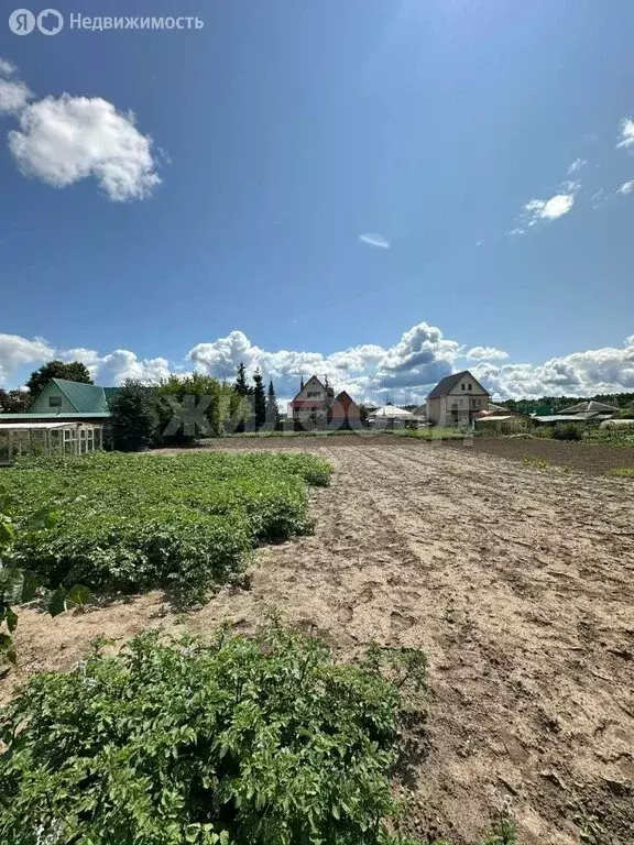 Дом в Ордынское, улица Маяковского (56 м) - Фото 0