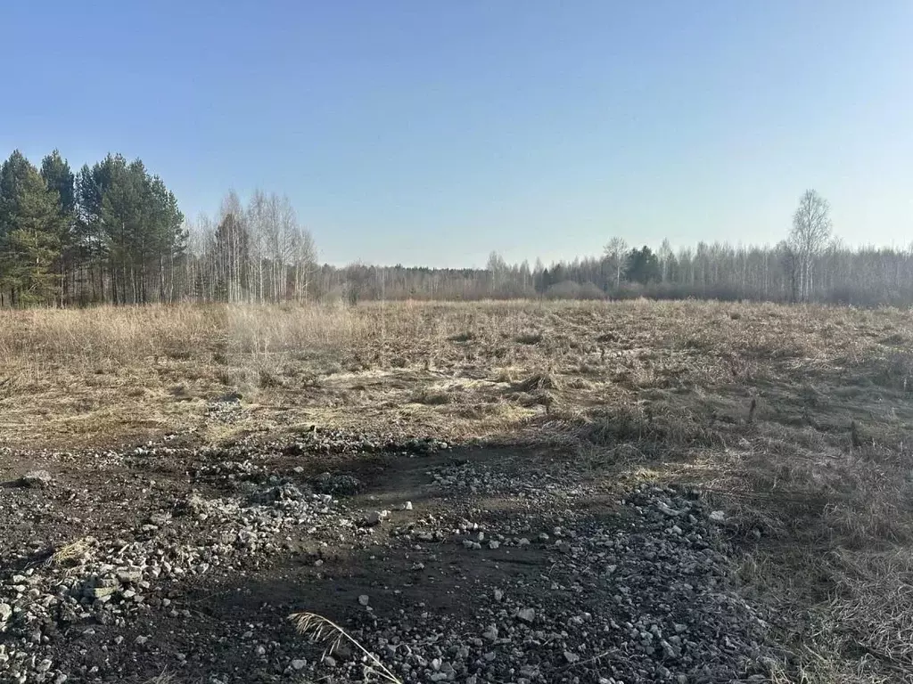 Участок в Тюменская область, Тюмень СОСН Березка-3 тер.,  (9.0 сот.) - Фото 0