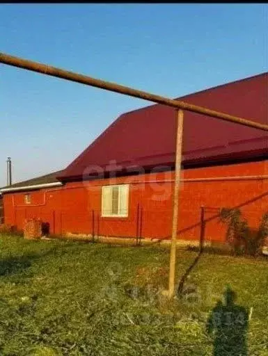 Участок в Краснодарский край, Белореченский район, Великовечненское ... - Фото 1