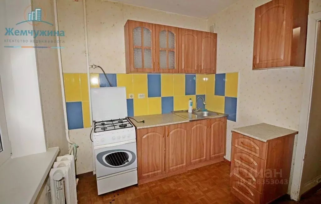 1-к кв. Ульяновская область, Димитровград Братская ул., 27 (34.72 м) - Фото 2