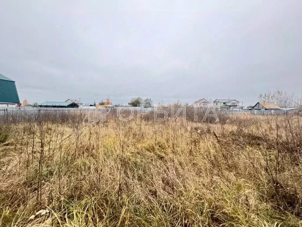 Участок в Тюменская область, Тюмень Царево садовое товарищество, ул. ... - Фото 1