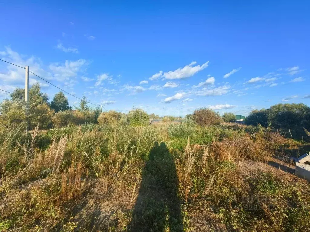 Участок в Амурская область, Благовещенский район, с. Чигири  (10.0 ... - Фото 1