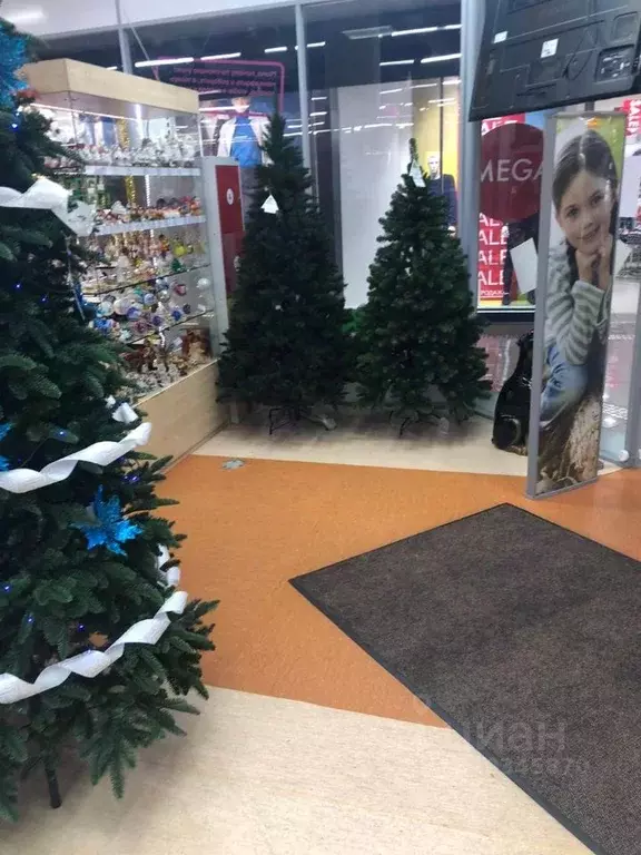 Торговая площадь в Хабаровский край, Хабаровск ул. Карла Маркса, 91 ... - Фото 2