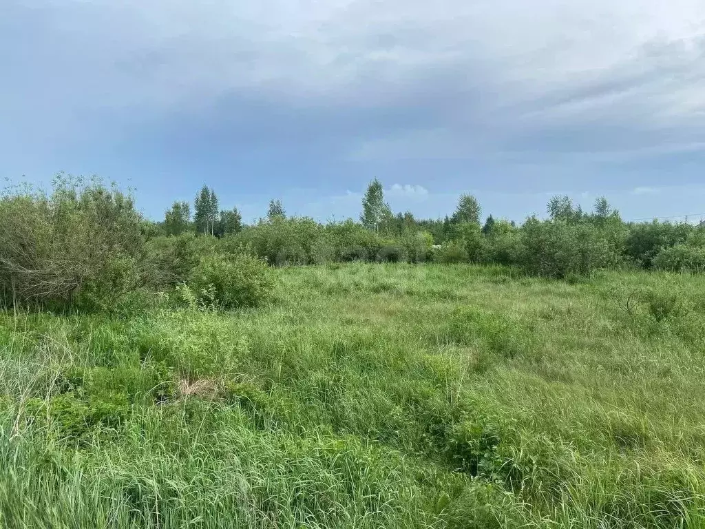 Участок в Тюменская область, Нижнетавдинский район, пос. Торгили  ... - Фото 1