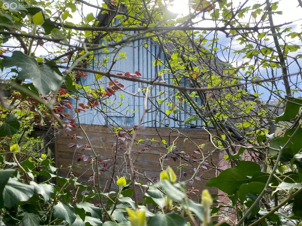 Дом в Краснодарский край, городской округ Сочи, село Пластунка, СНТ ... - Фото 1