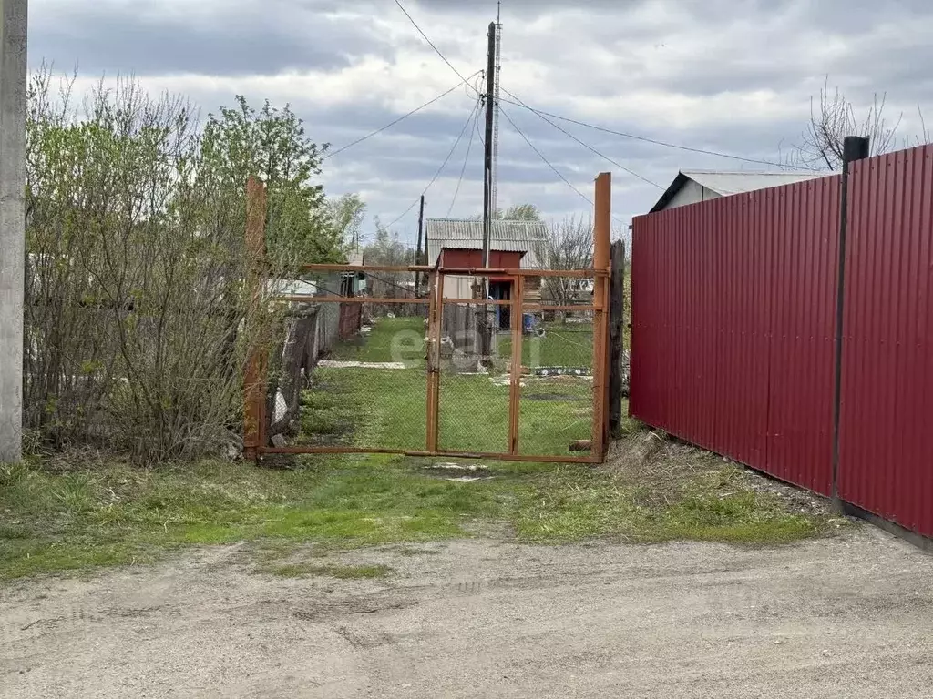 Участок в Курганская область, Шадринск Астра СНТ, 10 (3.5 сот.) - Фото 1