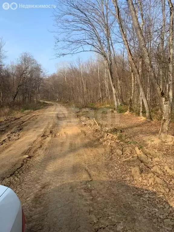 Участок в Абадзехская, улица Винника (524 м) - Фото 2