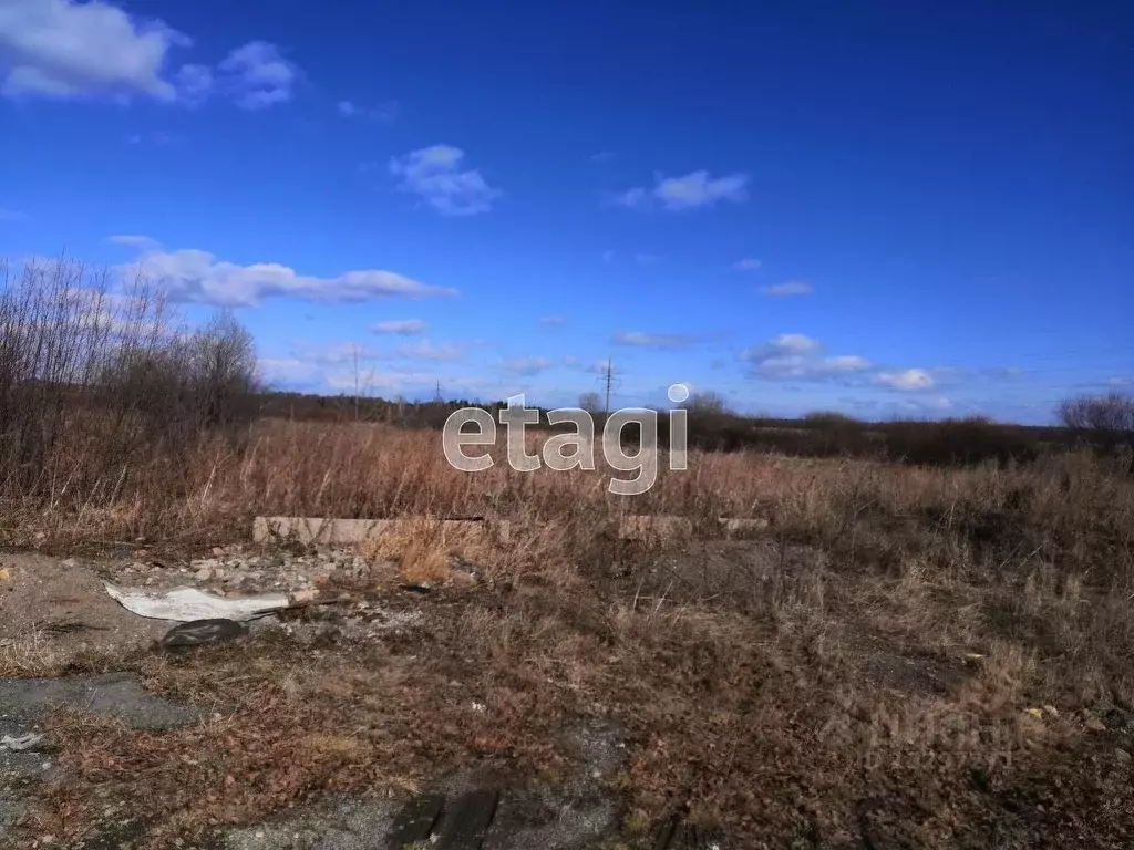 Участок в Свердловская область, Горноуральский городской округ, с. ... - Фото 1