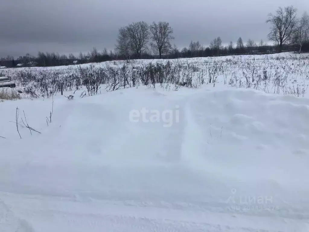 Участок в Нижегородская область, Богородский муниципальный округ, д. ... - Фото 0