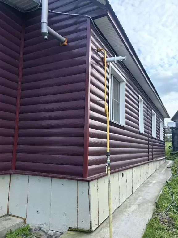 Дом в Алтайский край, Барнаул Логовская ул., 29 (90 м) - Фото 1