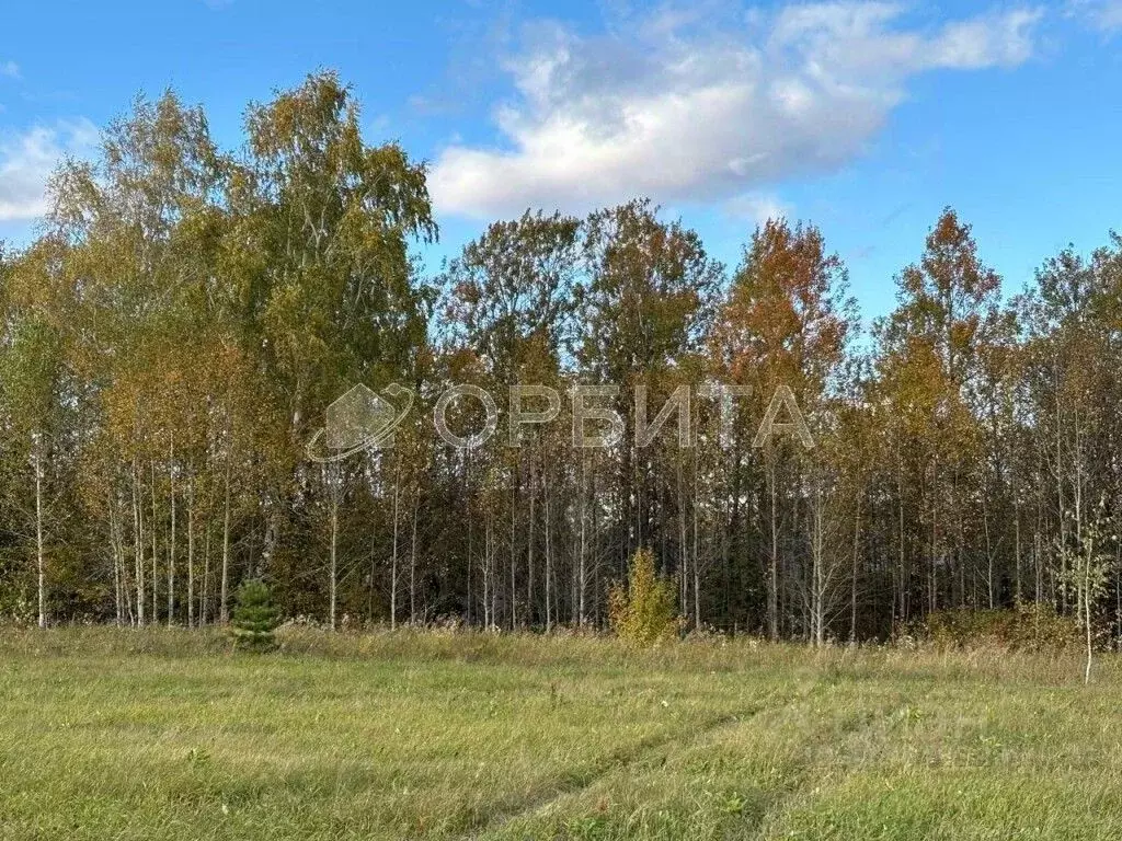 Участок в Тюменская область, Тюмень  (12.0 сот.) - Фото 0