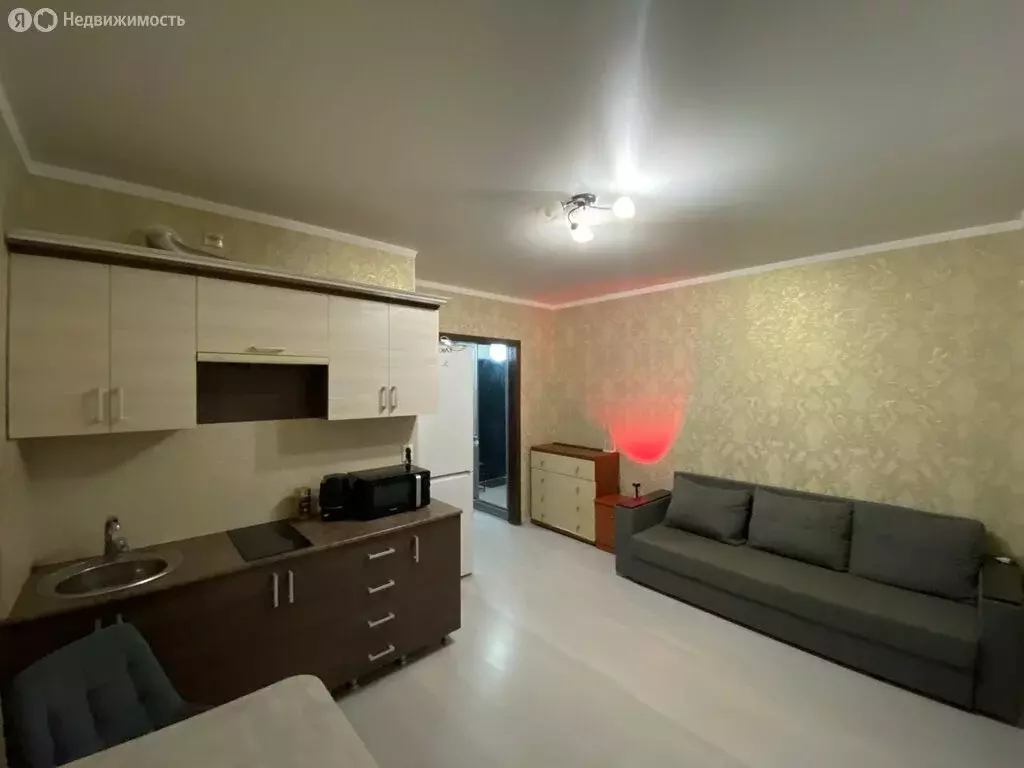 Квартира-студия: Ростов-на-Дону, переулок Салютина, 2А (28 м) - Фото 2