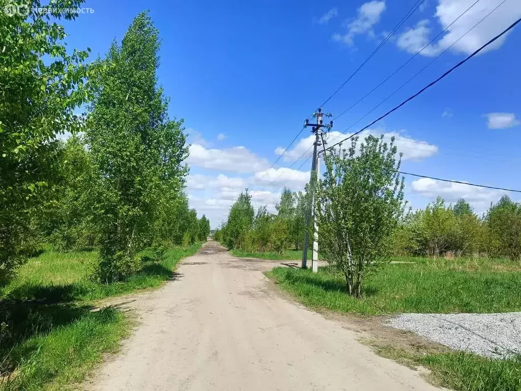Участок в Новосибирская область, Бердск (10 м) - Фото 1