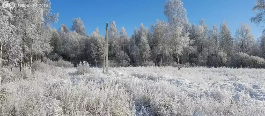 Участок в Шатура, Береговая улица (15 м) - Фото 1