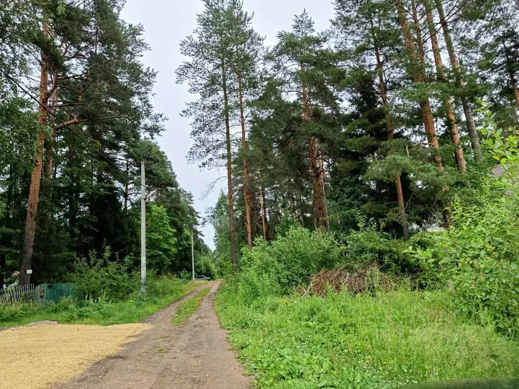 Дом в Ленинградская область, Гатчинский район, Вырица городской ... - Фото 1