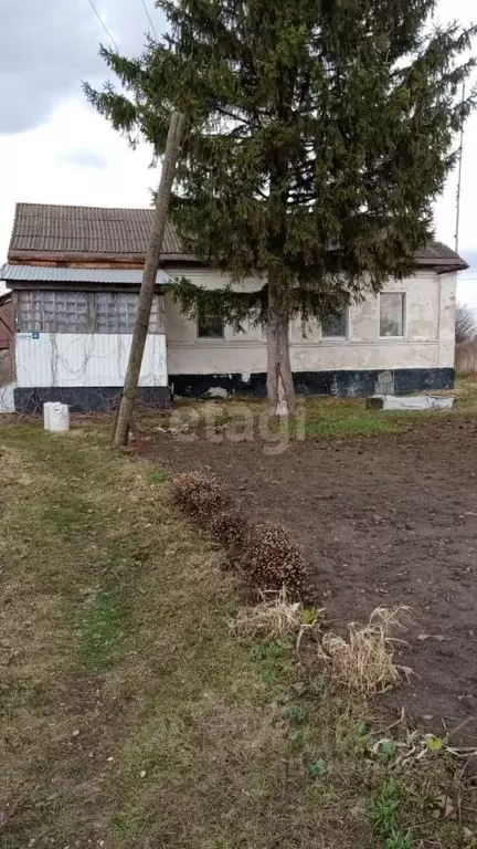 Дом в Липецкая область, Добринский район, Нижнематренский сельсовет, ... - Фото 0