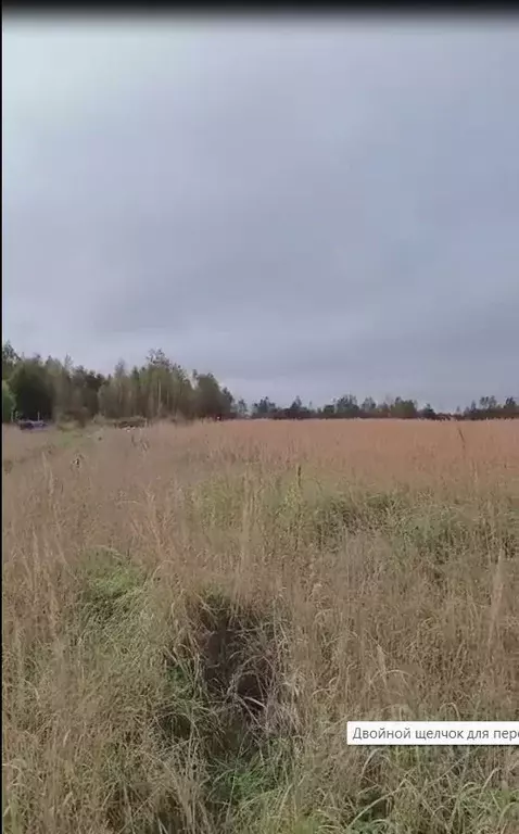 Участок в Новгородская область, Солецкий муниципальный округ, д. ... - Фото 2