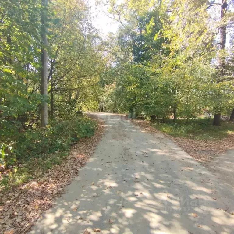 Участок в Тамбовская область, Тамбов городской округ, пос. Тригуляй  ... - Фото 1