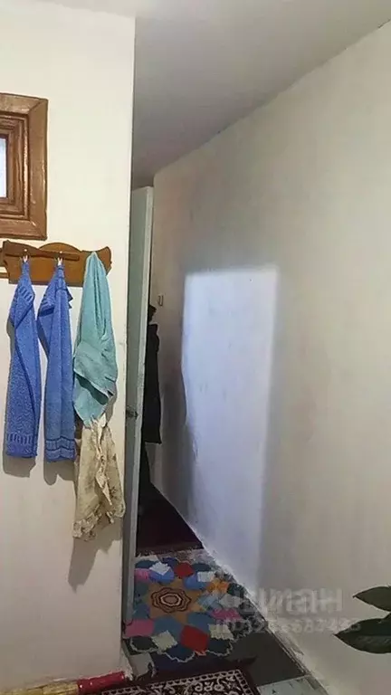 2-к кв. Алтайский край, Барнаул ул. Малахова, 124 (47.0 м) - Фото 1