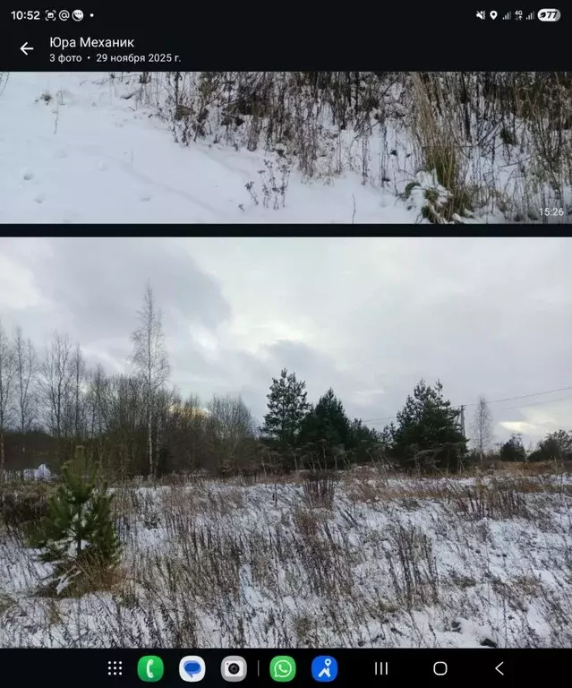 Участок в Псковская область, Псковский район, Завеличенская волость, ... - Фото 1