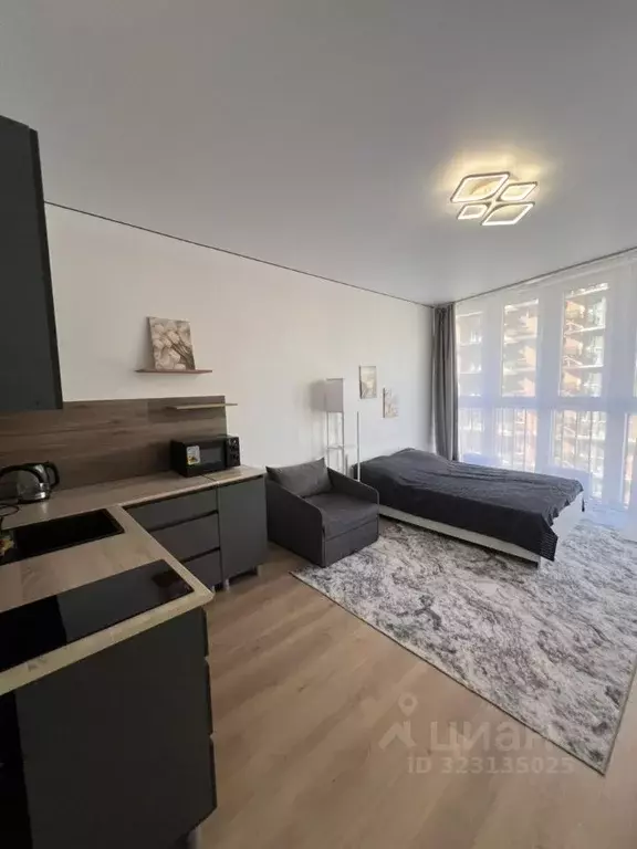 Студия Краснодарский край, Краснодар ул. Ивана Беличенко, 86к3 (27.0 ... - Фото 2