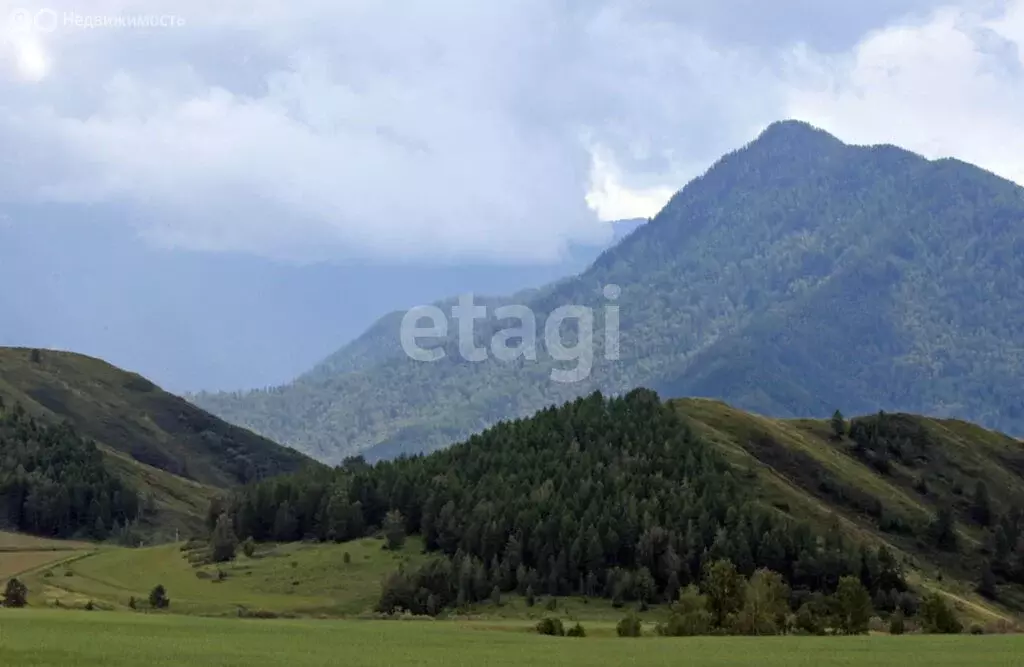 Участок в Усть-Коксинский район, село Нижний Уймон (20 м) - Фото 2