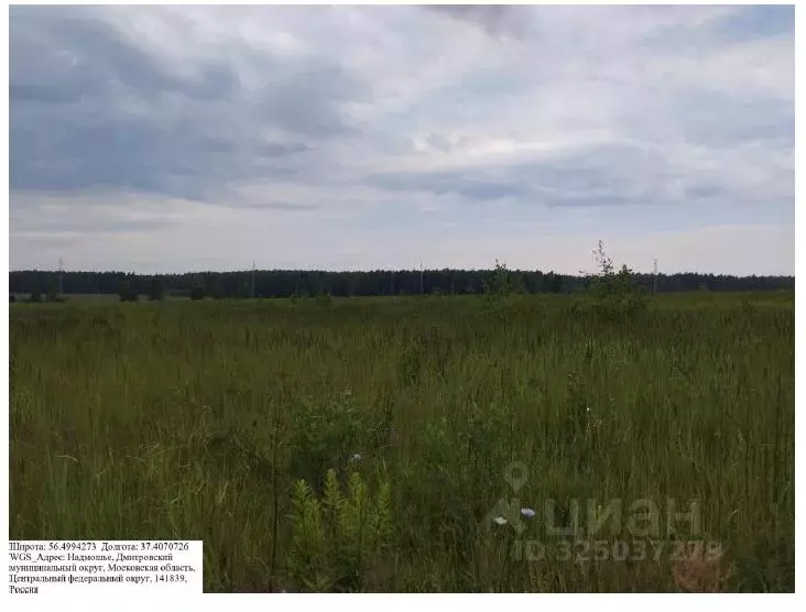 Участок в Московская область, Дмитровский муниципальный округ, д. ... - Фото 1