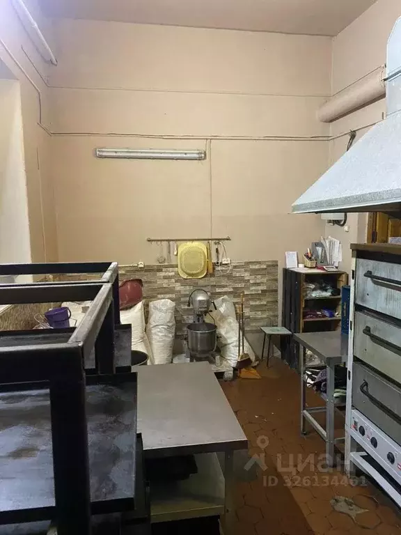 Помещение свободного назначения в Забайкальский край, Борзинский ... - Фото 1