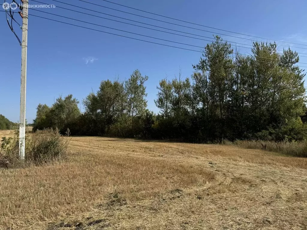 Участок в Частая Дубрава, Придорожная улица (30 м) - Фото 1
