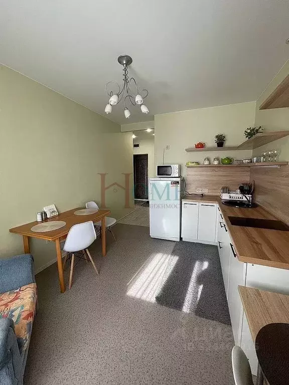 1-к кв. Новосибирская область, Новосибирск Весенний мкр, ул. Заречная, ... - Фото 1