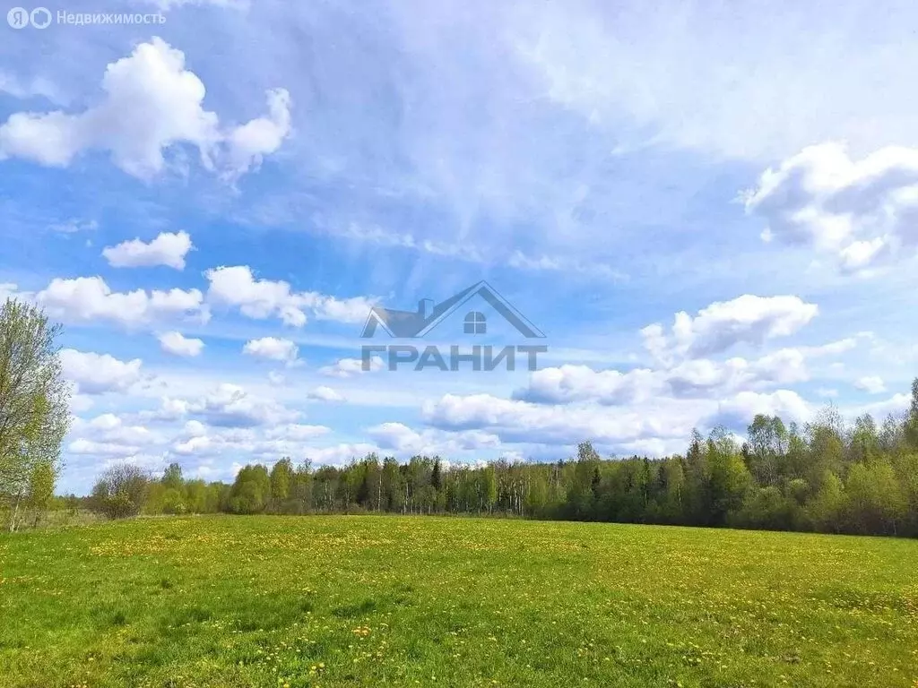 Участок в Новгородская область, Крестецкий муниципальный округ, село ... - Фото 2