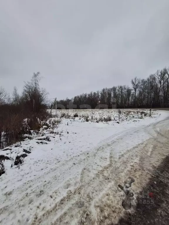 Участок в Тульская область, Веневский муниципальный округ, с. Хавки  ... - Фото 2