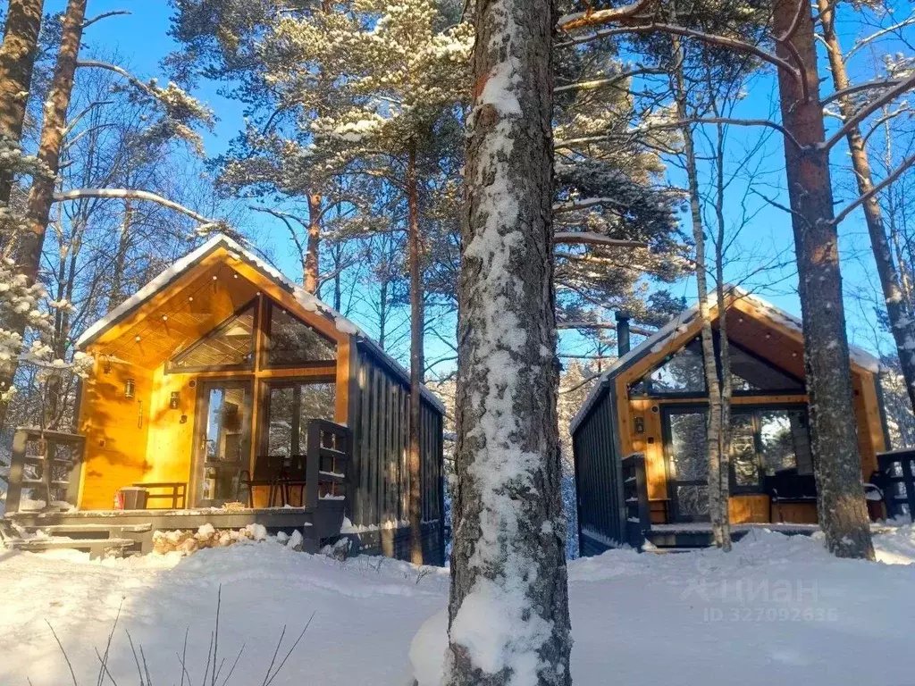 Дом в Алтай, Чемальский район, с. Чемал  (42 м) - Фото 2