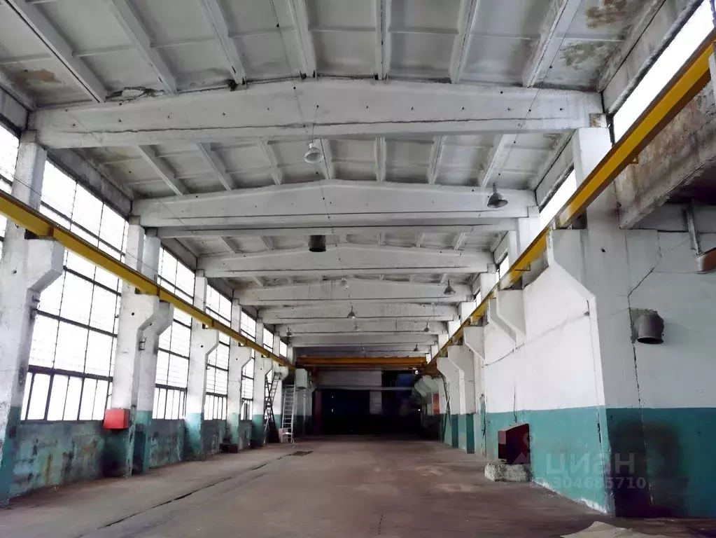 Производственное помещение в Липецкая область, Лебедянский ... - Фото 1