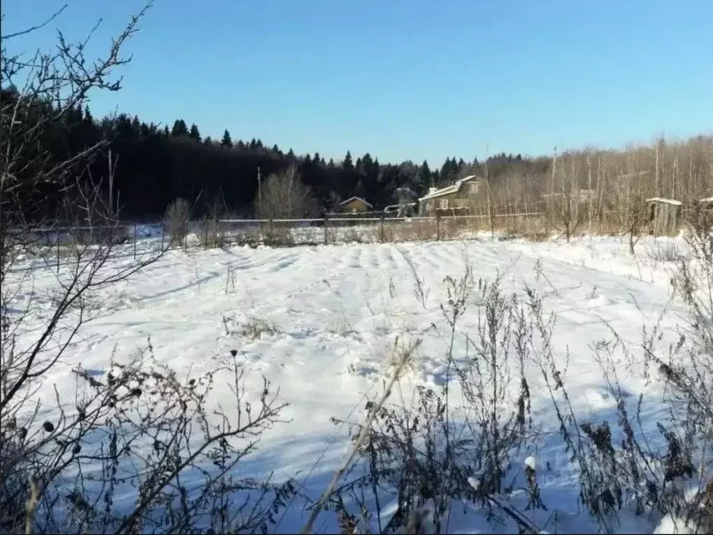 Участок в Новосибирская область, Колыванский район, Казачий садовые ... - Фото 2